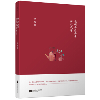 我明白你会来，所以我等 pdf epub mobi 下载