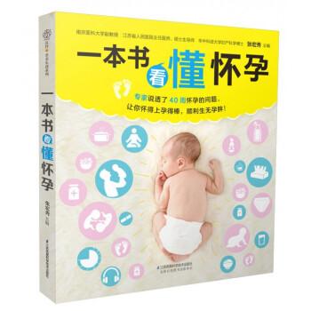 一本书看懂怀孕 pdf epub mobi 下载