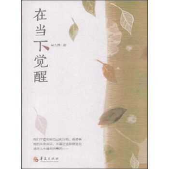 在当下觉醒 pdf epub mobi 电子书 下载
