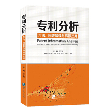 专利分析——方法、图表解读与情报挖掘 pdf epub mobi 电子书 下载
