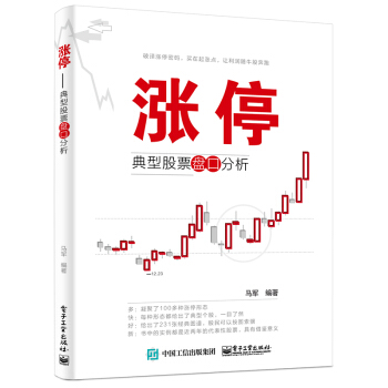 漲停：典型股票盤口分析 pdf epub mobi 下载