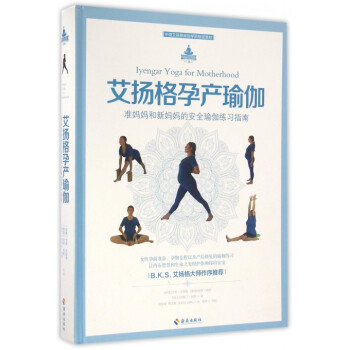 艾扬格孕产瑜伽(中国艾扬格瑜伽学院指定教材)(精) pdf epub mobi 下载