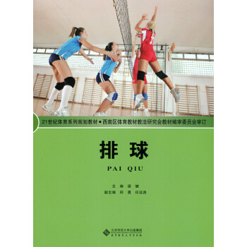排球 pdf epub mobi 下载