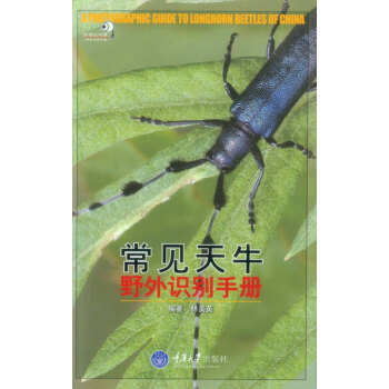 好奇心书系·野外识别手册：常见天牛野外识别手册 pdf epub mobi 下载