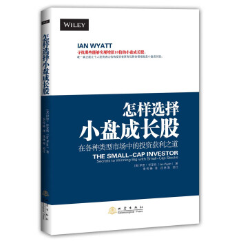怎样选择小盘成长股 pdf epub mobi 电子书 下载