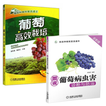 包郵葡萄gao效栽培+圖說葡萄病蟲害 診斷與防治共兩本葡萄種植栽培技術書 pdf epub mobi 電子書 下載