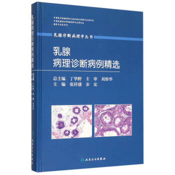 乳腺診斷病理學叢書：乳腺病理診斷病例精選 pdf epub mobi 下载