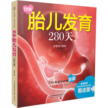 圖解胎兒發育280天 pdf epub mobi 下载