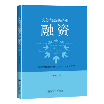 文创与高新产业融资——知识产权价值挖掘的交易设计与风险管理 pdf epub mobi 电子书 下载