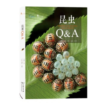 昆蟲Q&A/自然觀察叢書 pdf epub mobi 下载