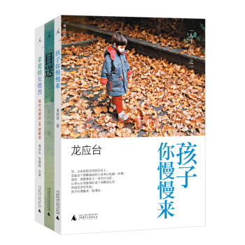 龙应台“人生三书”（套装全3册） pdf epub mobi 下载