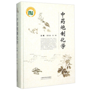 中药炮制化学 pdf epub mobi 下载