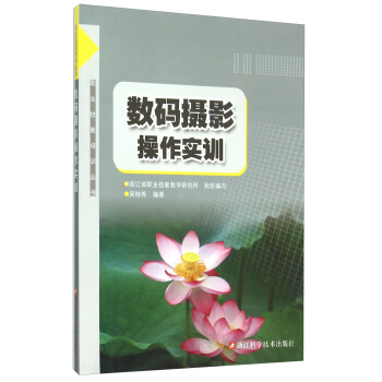 数码摄影操作实训 pdf epub mobi 下载