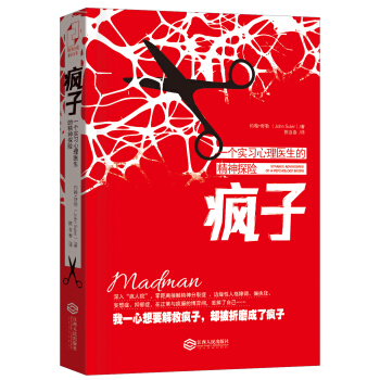 一个实习心理医生的精神探险：疯子 pdf epub mobi 下载