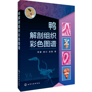 鸭解剖组织彩色图谱 pdf epub mobi 下载