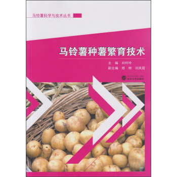 马铃薯种薯繁育技术