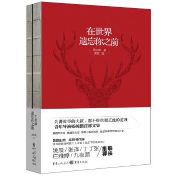 在世界遗忘你之前 pdf epub mobi 电子书 下载