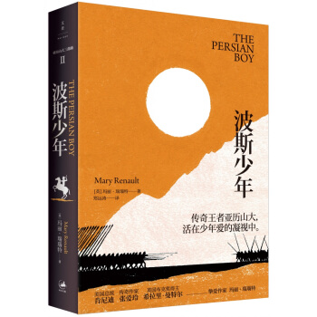 波斯少年 pdf epub mobi 下载