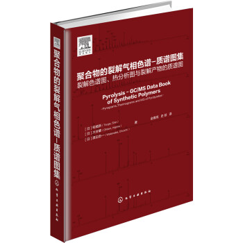 聚合物的裂解气相色谱：质谱图集 [Pyrolysis - GC/MS Data Book of Synthetic Polymers] pdf epub mobi 下载
