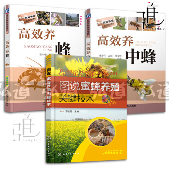 養蜂技術書籍全3冊 圖說蜜蜂養殖關鍵技術+高效養蜂+高效養中蜂 蜜蜂飼養 蜜蜂良種繁殖 蜂 pdf epub mobi 電子書 下載