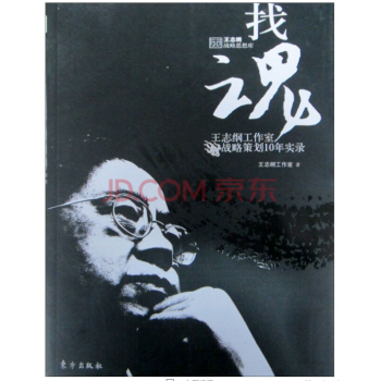 找魂:王志纲工作室战略策划10年实录