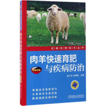 肉羊快速育肥与疾病防治