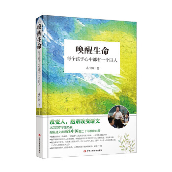 唤醒生命 每个孩子心中都有一个巨人 pdf epub mobi 下载