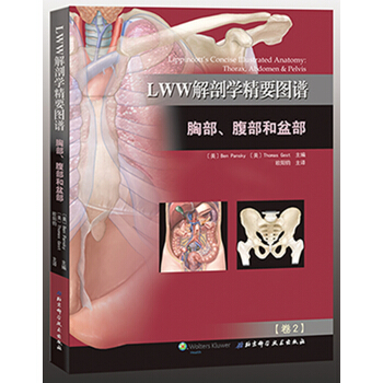 LWW解剖学精要图谱：胸部、腹部和盆部 [Lippincott’s Concise Illustrated Anatomy: Thorax,] pdf epub mobi 下载