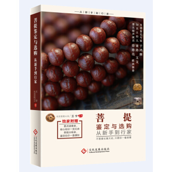 菩提鉴定与选购从新手到行家 pdf epub mobi 下载