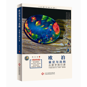 歐泊鑒定與選購從新手到行傢 pdf epub mobi 下载