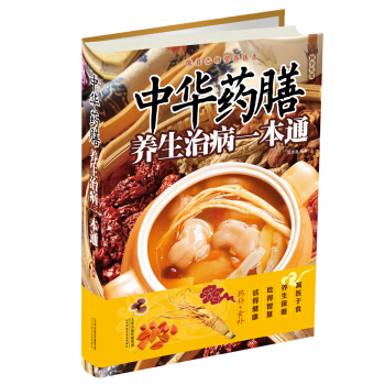 中华药膳养生治病一本通 pdf epub mobi 下载