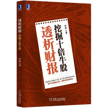 透析财报 挖掘十倍牛股 pdf epub mobi 下载