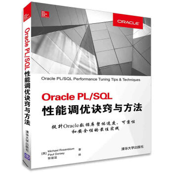 Oracle PLSQL性能调优诀窍与方法 pdf epub mobi 下载