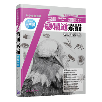 零基础学素描系列·7天精通素描：基础入门 pdf epub mobi 下载