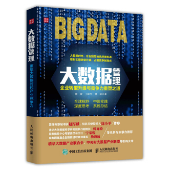 大數據管理：企業轉型升級與競爭力重塑之道 pdf epub mobi 下载