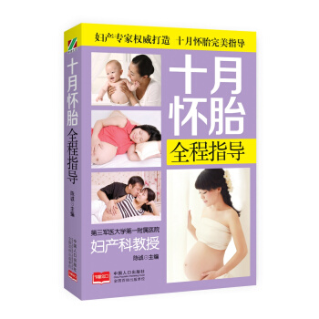 十月怀胎全程指导 pdf epub mobi 电子书 下载