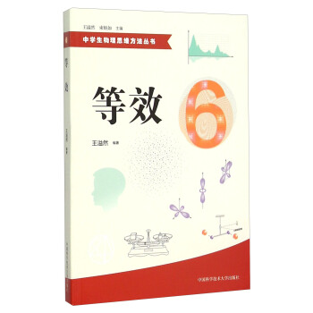 等效/中学生物理思维方法丛书