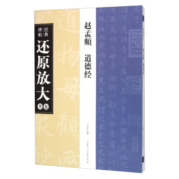 趙孟頫《道德經》---經典碑帖還原放大集萃 pdf epub mobi 下载