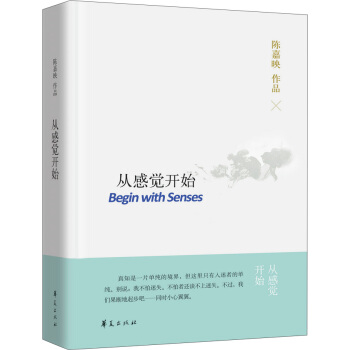从感觉开始 pdf epub mobi 下载