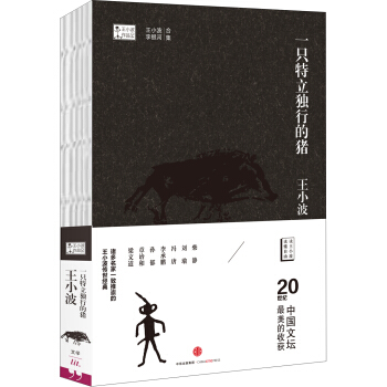 王小波作品集 一只特立独行的猪 pdf epub mobi 下载