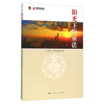 阳光下的承诺 pdf epub mobi 下载