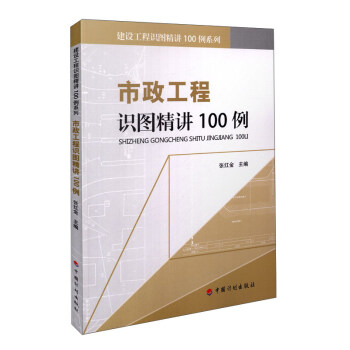 市政工程识图精讲100例/建设工程识图精讲100例系列 pdf epub mobi 下载