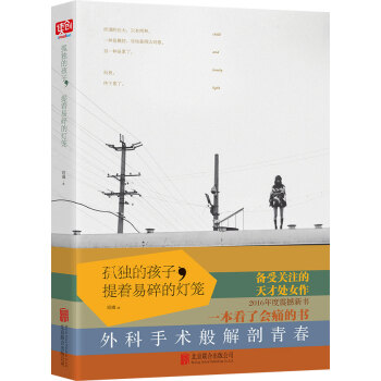 孤独的孩子，提着易碎的灯笼 pdf epub mobi 下载