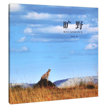 旷野 pdf epub mobi 电子书 下载