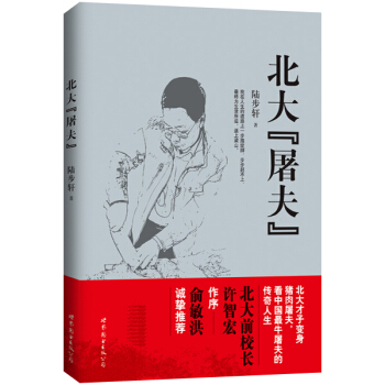 北大“屠夫” pdf epub mobi 下载