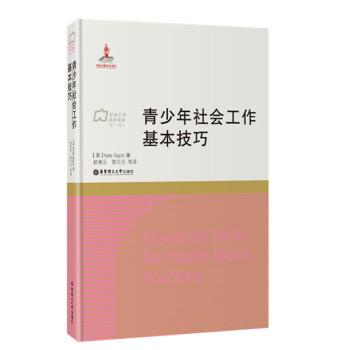 青少年社会工作基本技巧 pdf epub mobi 下载
