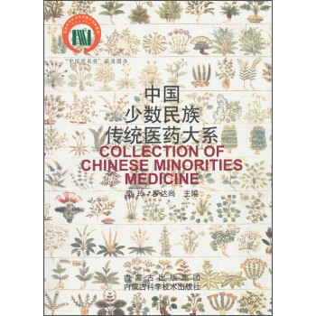 中国少数民族传统医药大系 pdf epub mobi 下载