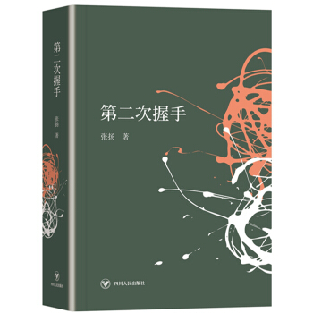第二次握手（精装本） pdf epub mobi 下载