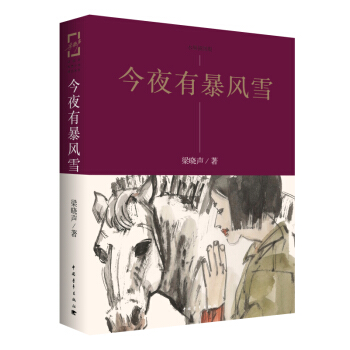 今夜有暴风雪 pdf epub mobi 下载