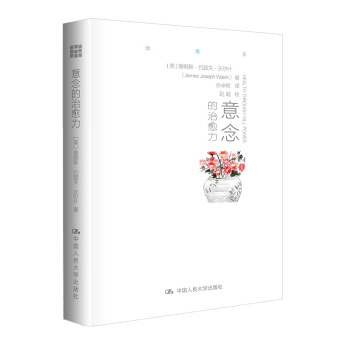 意念的治愈力 pdf epub mobi 下载
